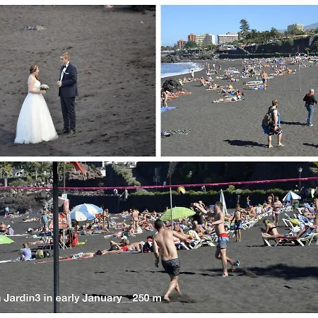 Appartamento Perfect *